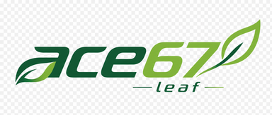 ace67 leaf logo